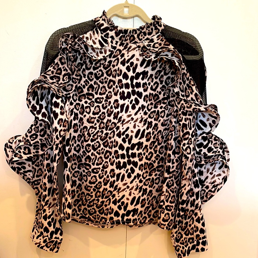 Beautiful dress blouse, puffy ruffled mesh sleeves.